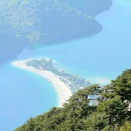 فيلة Portakal
