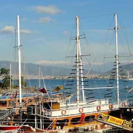 Portakal فيلة